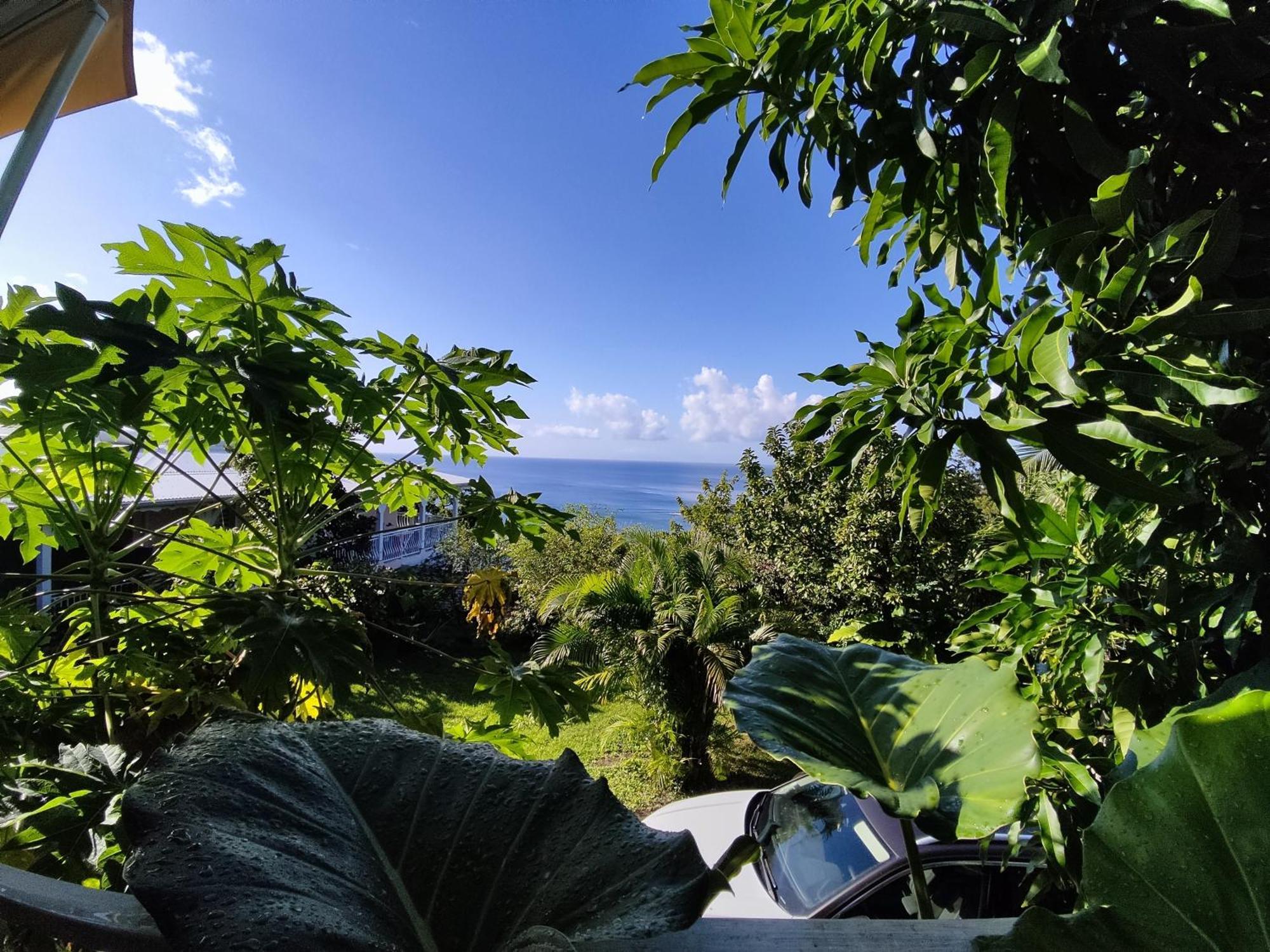 Bungalow With Sea View In 데샤이에스 객실 사진